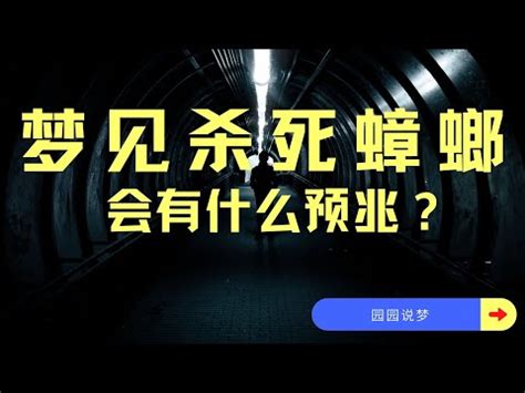 夢見殺死很多蟑螂|【夢見殺死很多蟑螂】夢見殺死很多蟑螂：20種解讀，讓你秒懂夢。